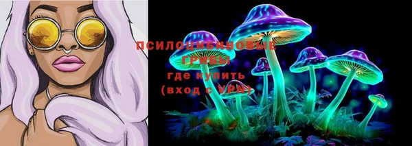 героин Алексин