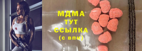 PSILOCYBIN Алзамай