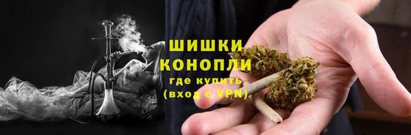 PSILOCYBIN Алзамай