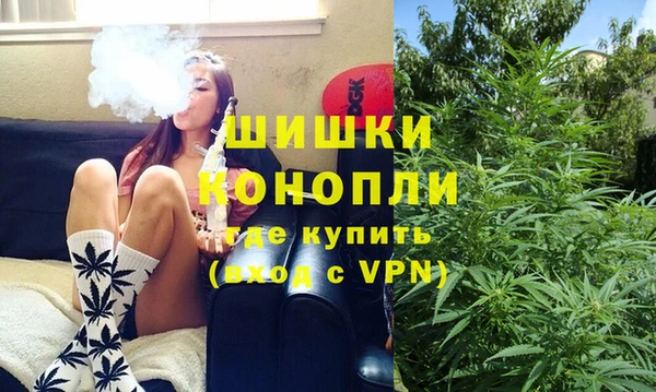 гидра Алексеевка