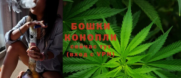 PSILOCYBIN Алзамай