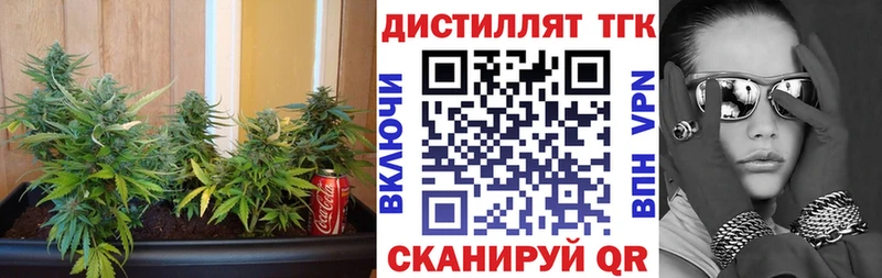 ТГК жижа  закладка  Николаевск-на-Амуре 